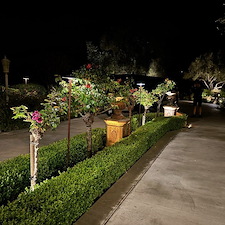 Why-continuing-education-is-essential-for-landscape-lighting-design-in-Montreal 6